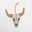 Brown Horns