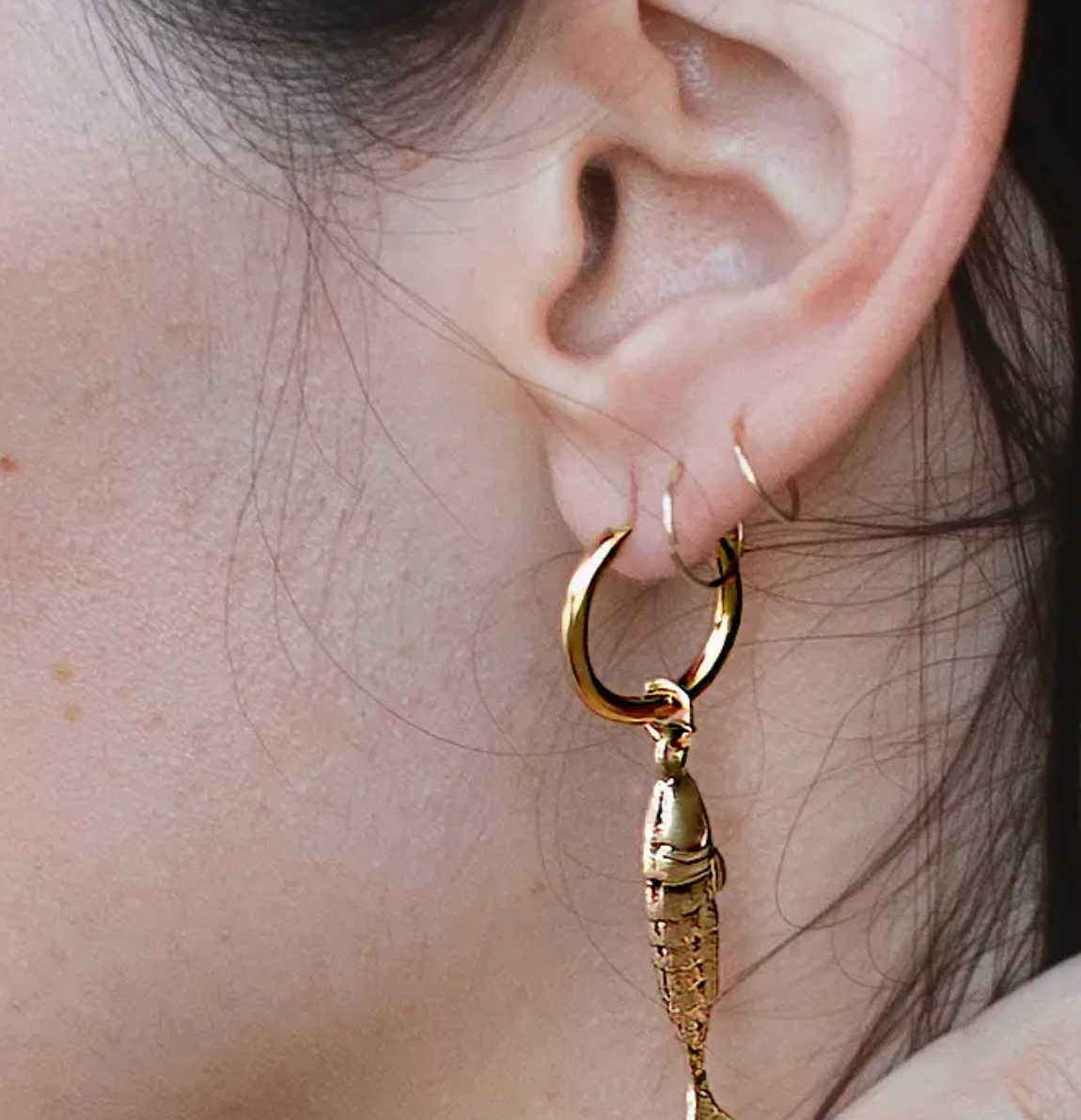 Pesce Hoops