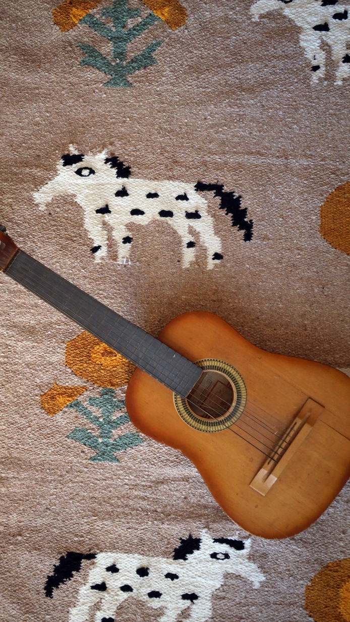 Poppies n' Ponies Handwoven Blanket