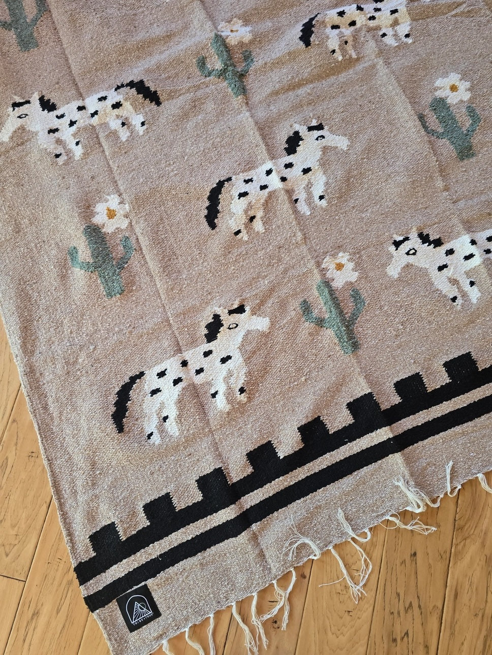 Painted Desert Handwoven Blanket
