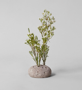 Stone Bud Holder